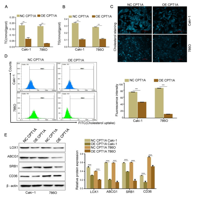 
Figure3
