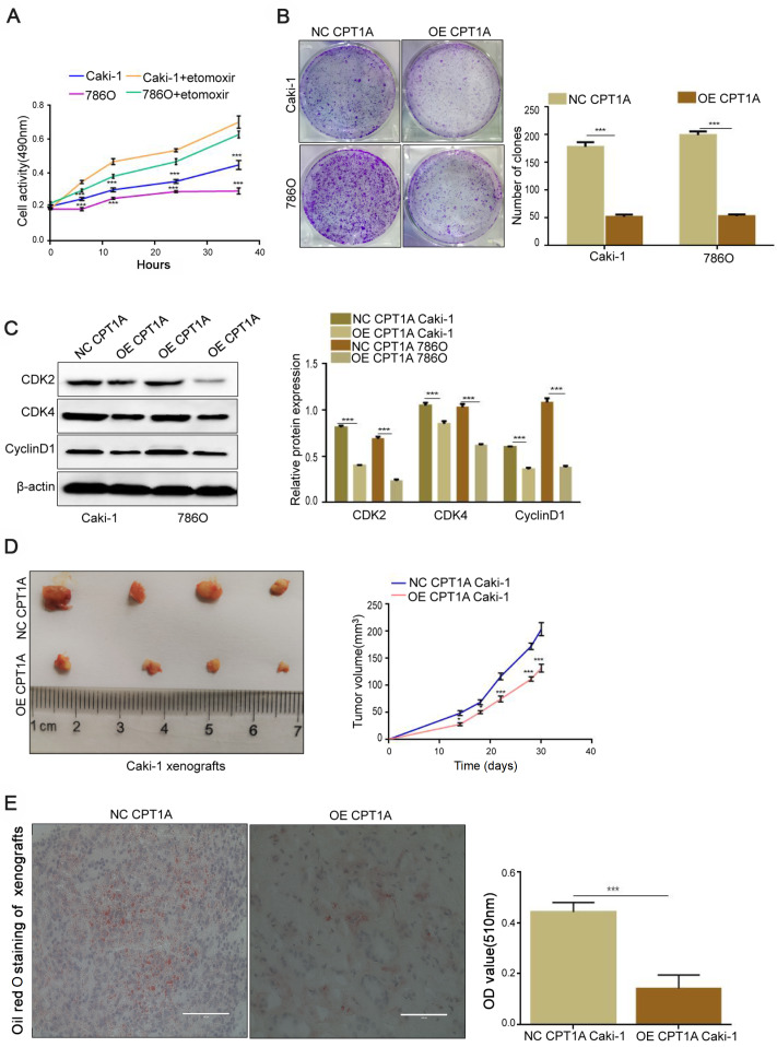 
Figure2
