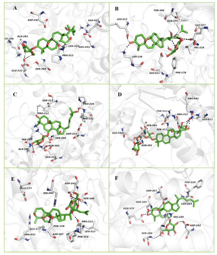 Figure 6