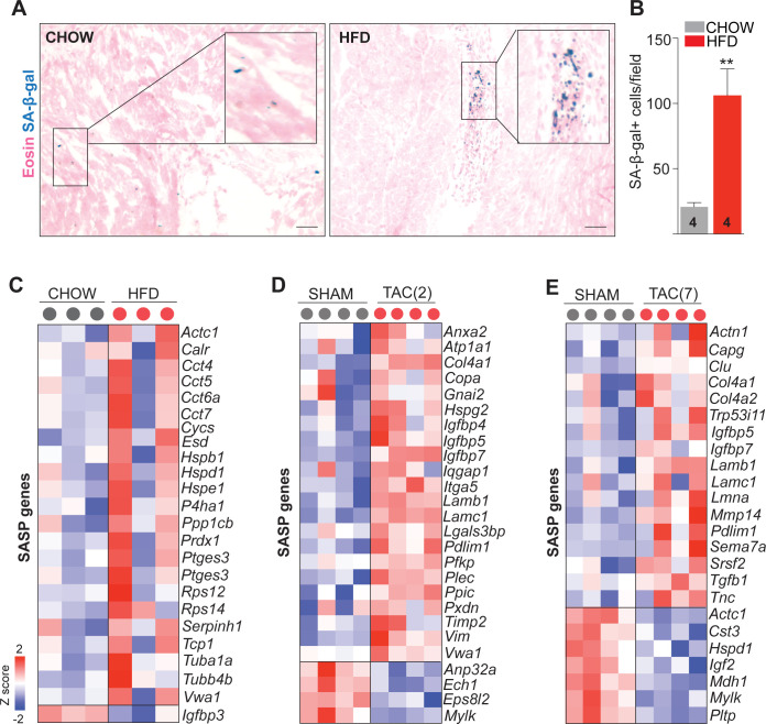 Figure 3—figure supplement 2.