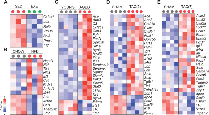 Figure 3—figure supplement 1.