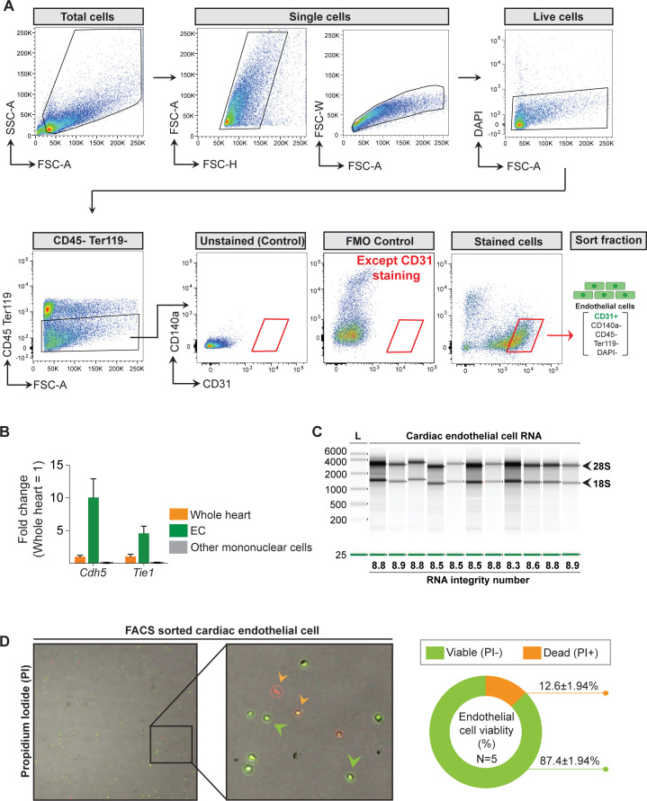 Figure 1—figure supplement 3.