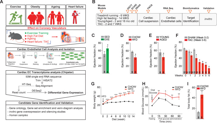 Figure 1—figure supplement 1.