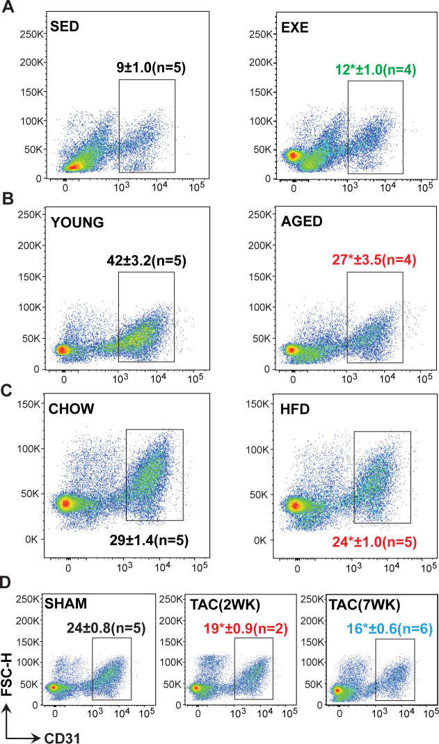 Figure 1—figure supplement 2.