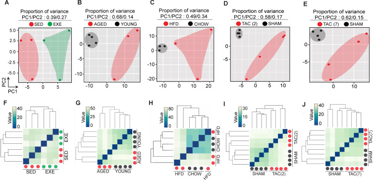 Figure 2—figure supplement 1.