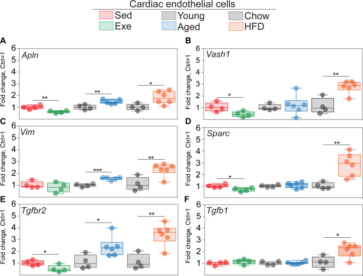 Figure 3—figure supplement 3.