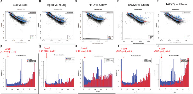 Figure 2—figure supplement 2.