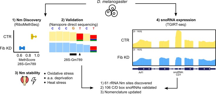 Graphical Abstract