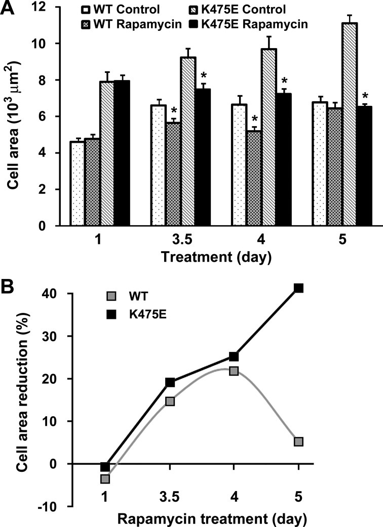 Fig. 9.