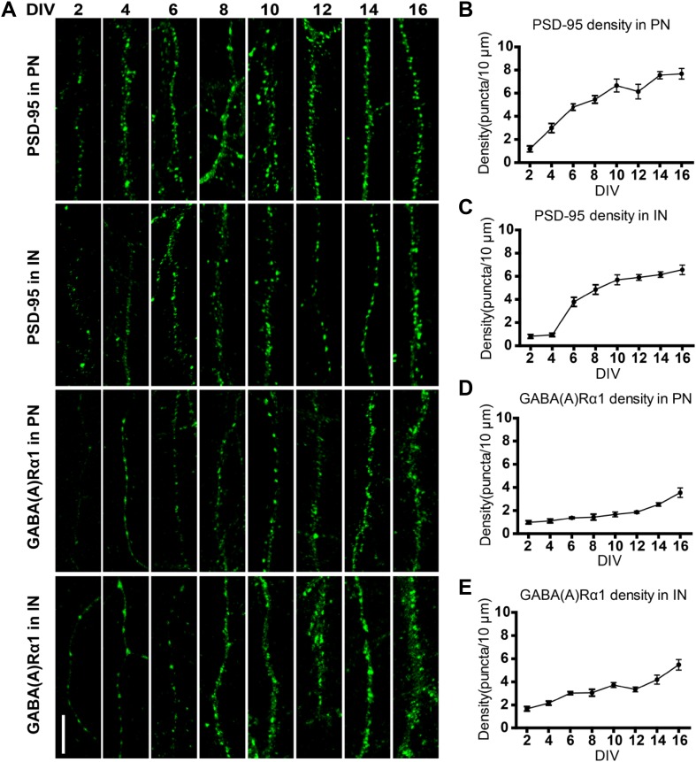 Fig. 1