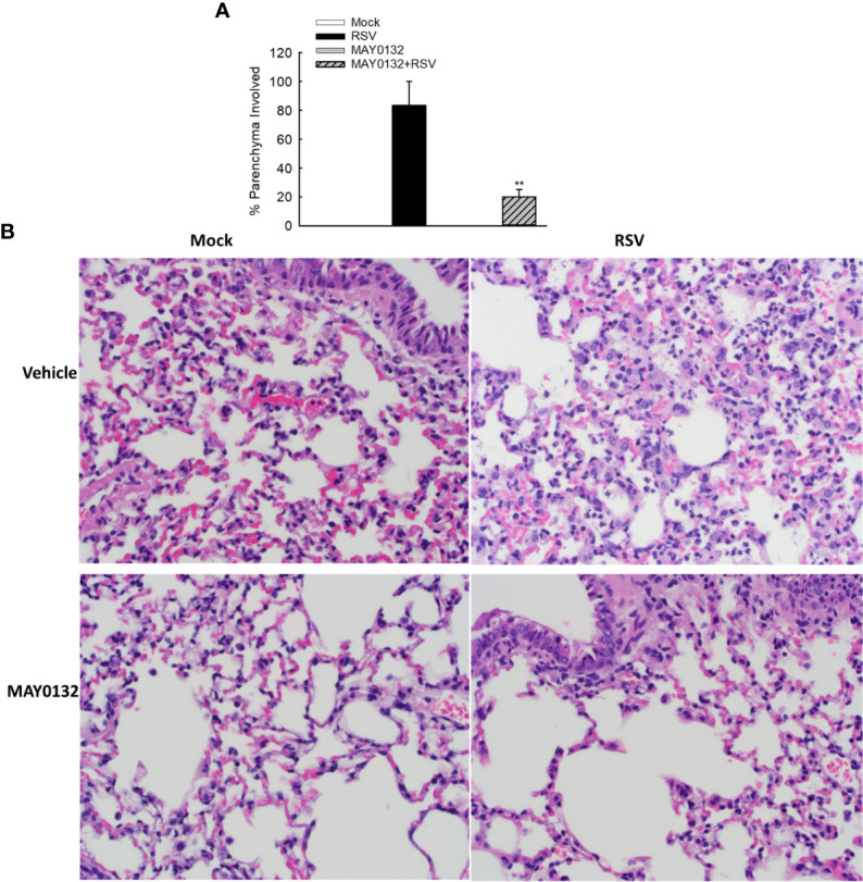 Figure 6