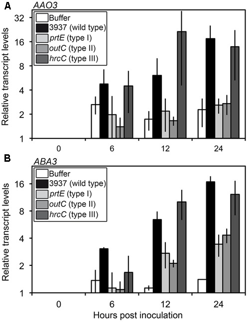 FIGURE 3