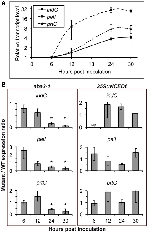 FIGURE 4