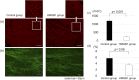Fig 8