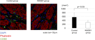 Fig 9