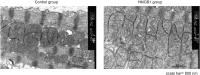 Fig 7