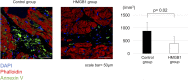 Fig 10