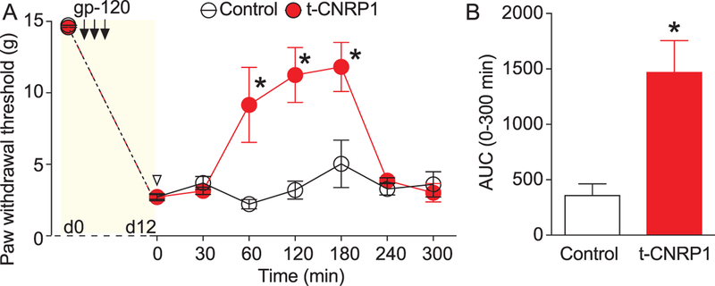 Figure 10.