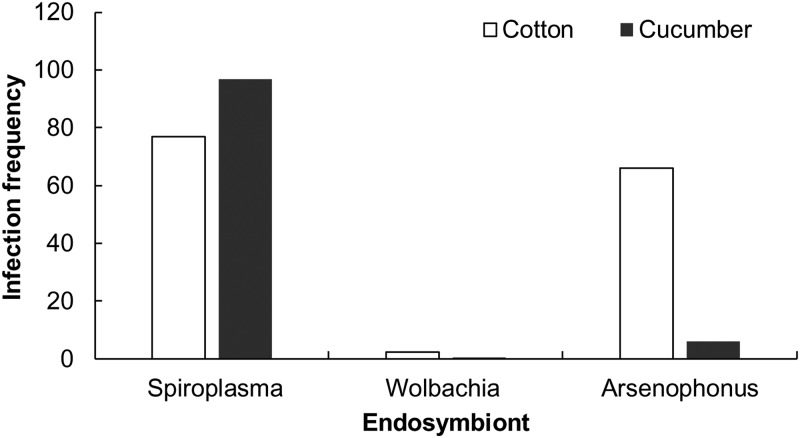 FIG 1