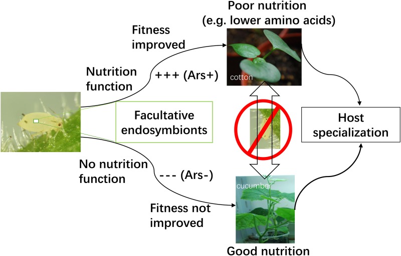 FIG 6