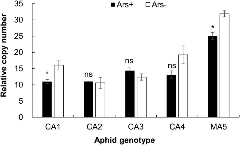 FIG 4