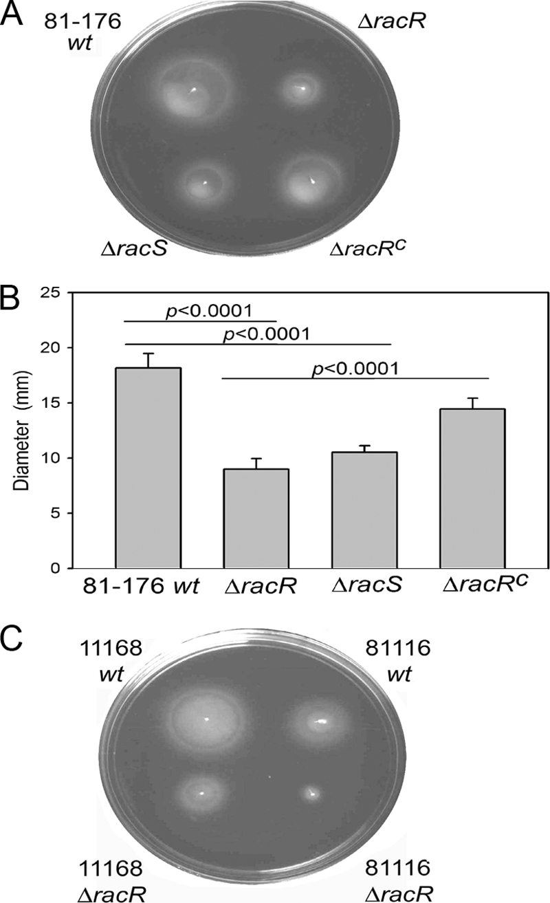 Fig 7