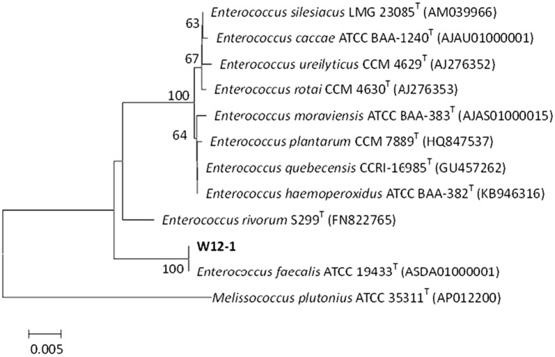 Fig. 4