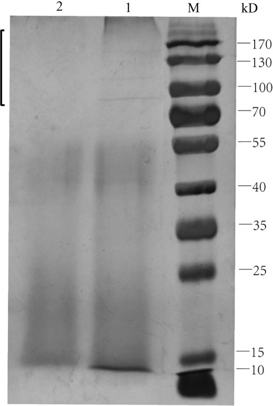 Fig. 7