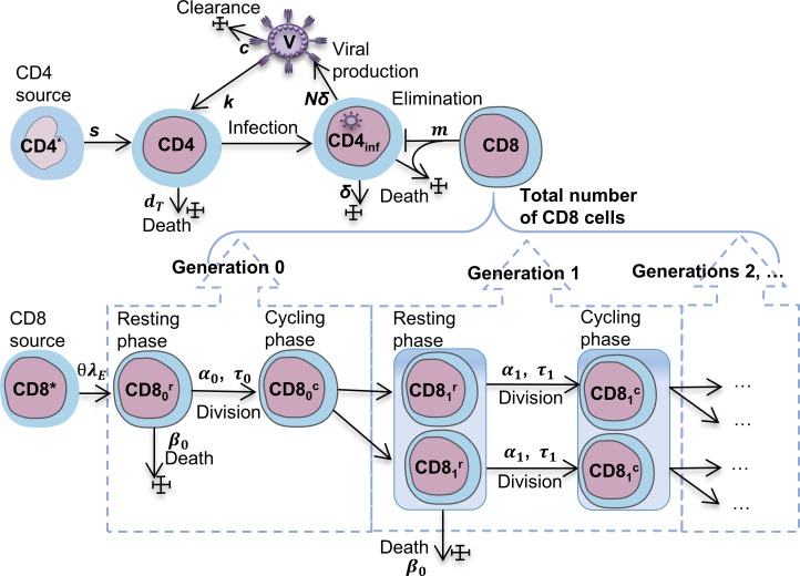 Fig 4