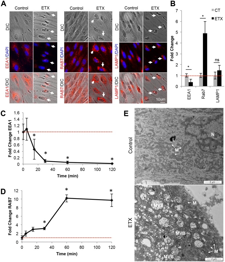 Fig 11