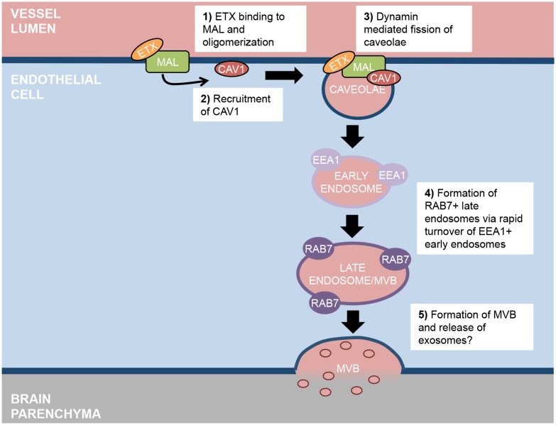 Fig 12