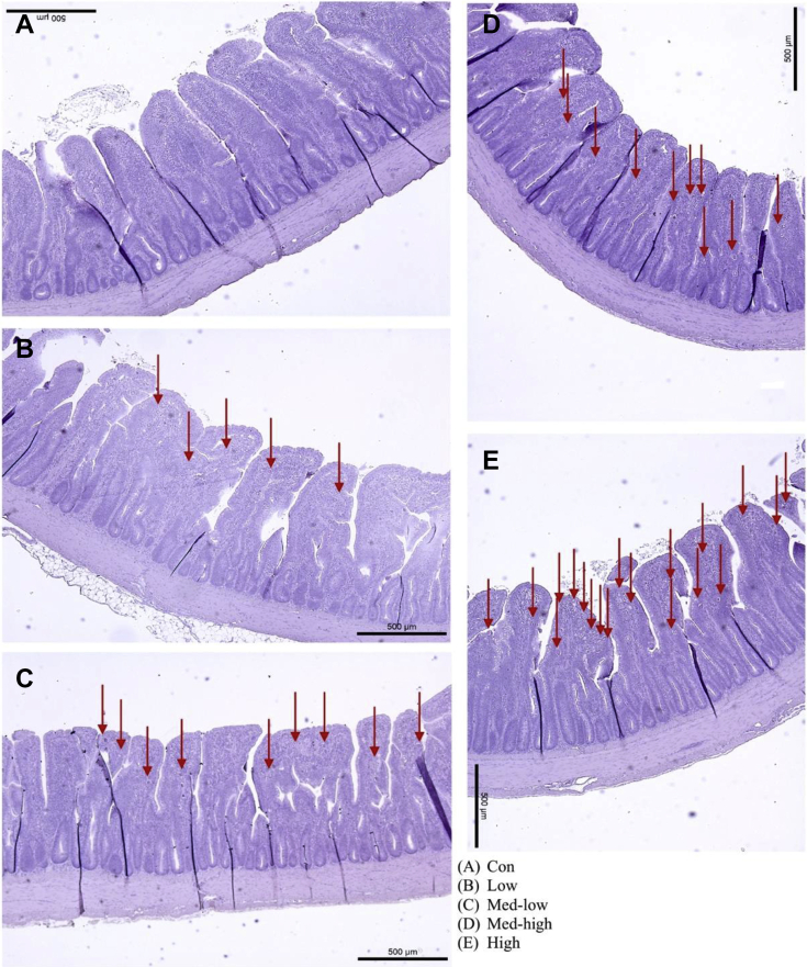 Figure 4