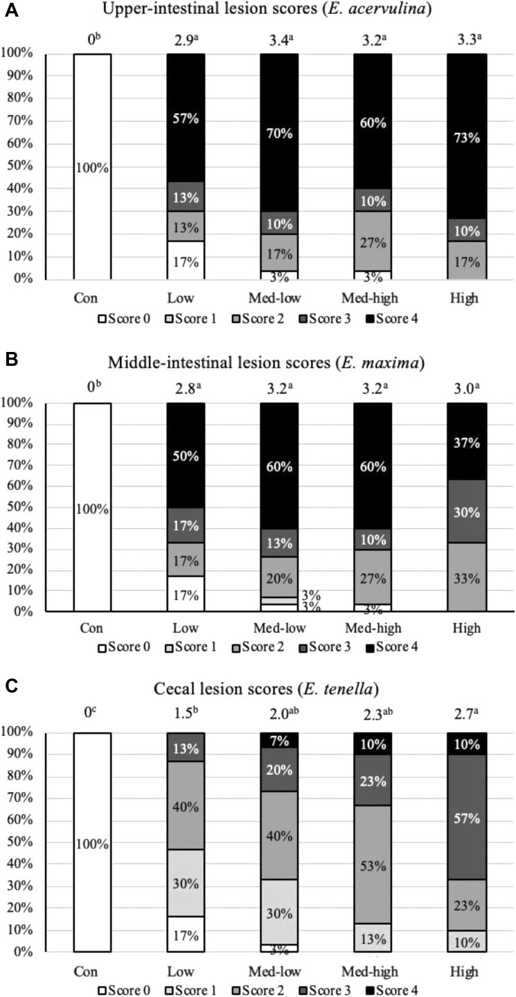 Figure 6