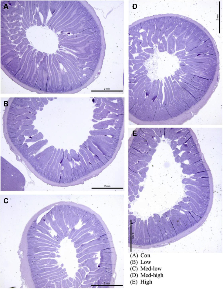 Figure 2