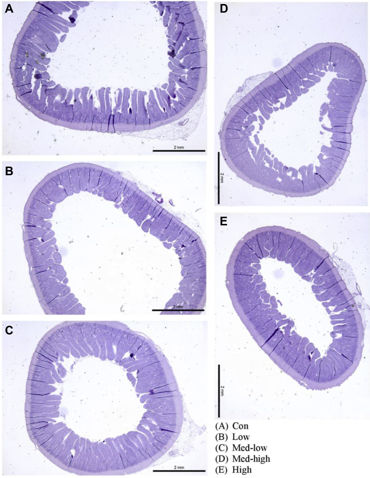 Figure 3