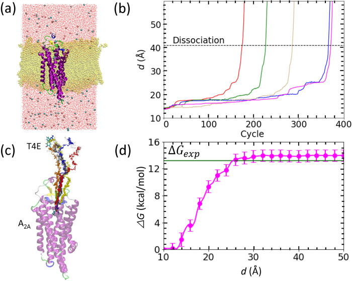 Figure 3 