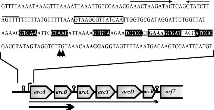 FIG. 1.