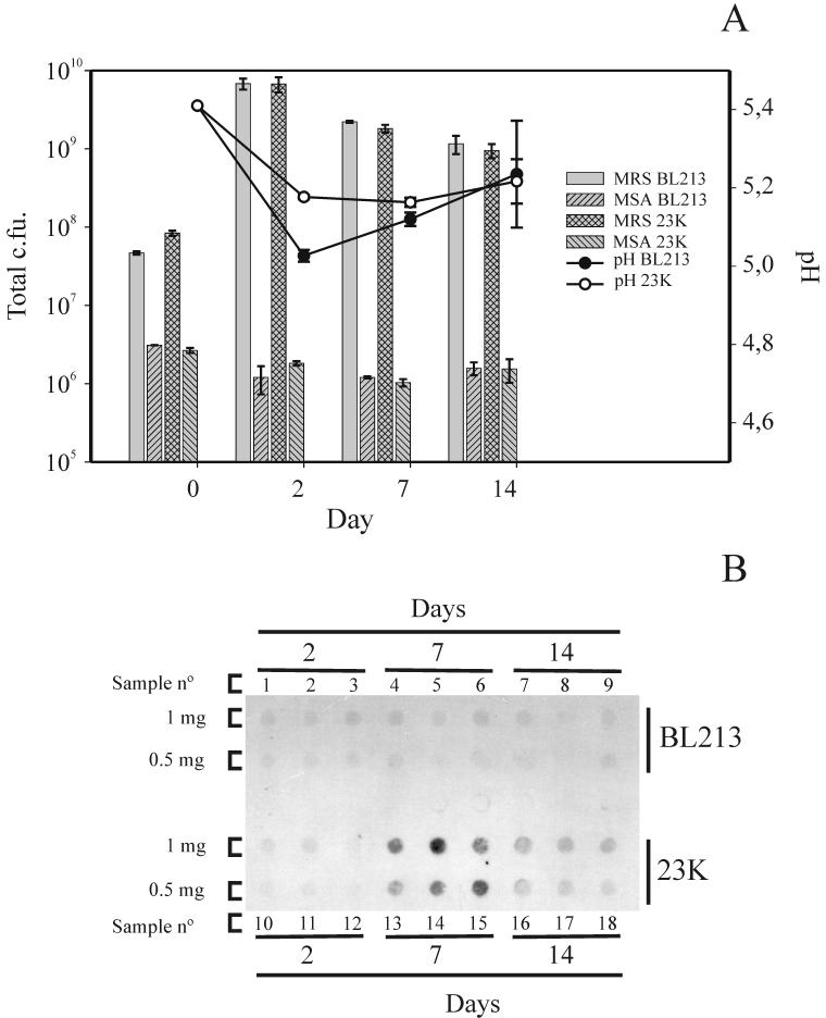 FIG. 5.