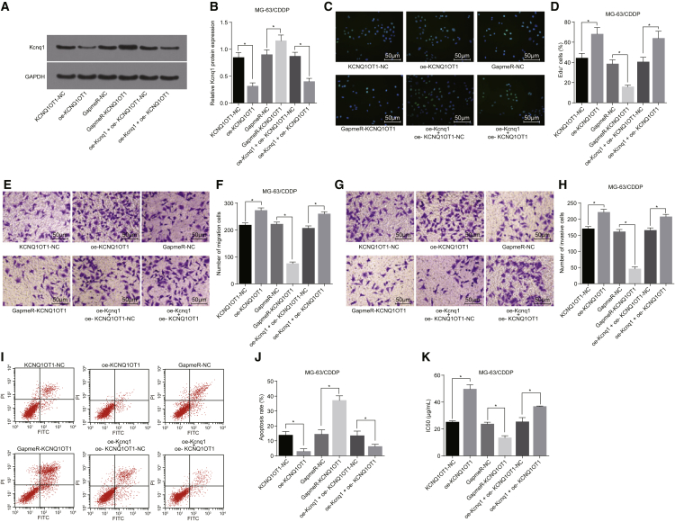 Figure 6