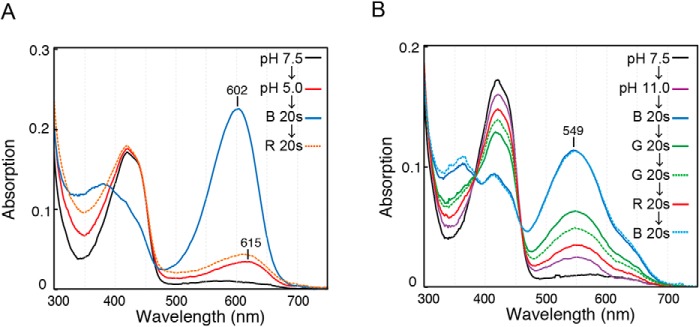 Figure 6.