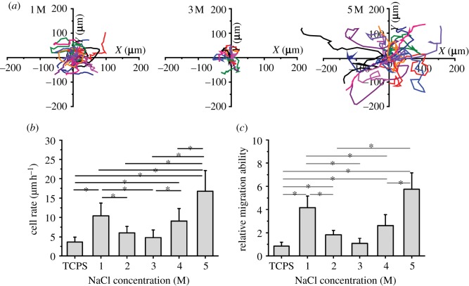 Figure 1.