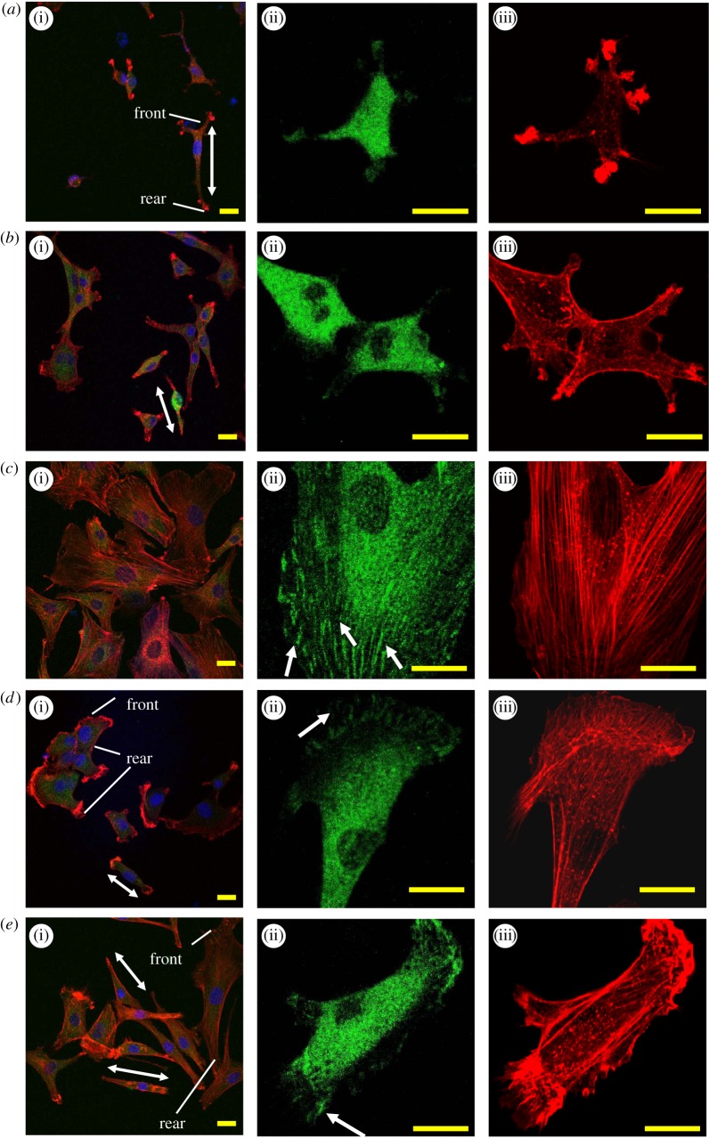 Figure 3.