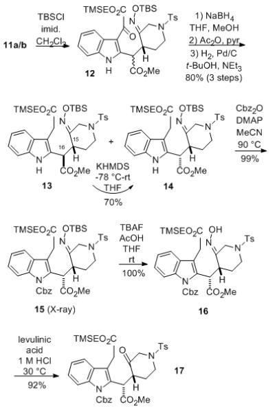 Scheme 2