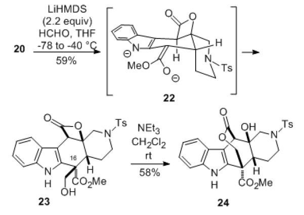 Scheme 4