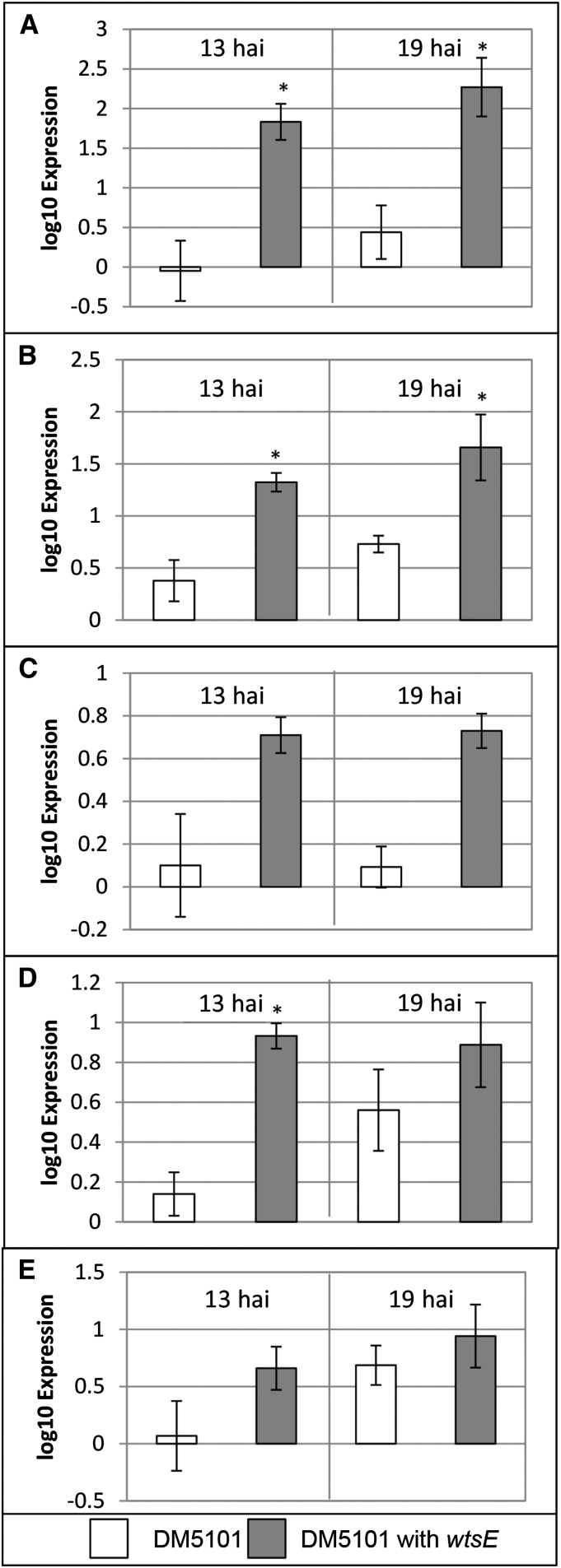 Figure 7.