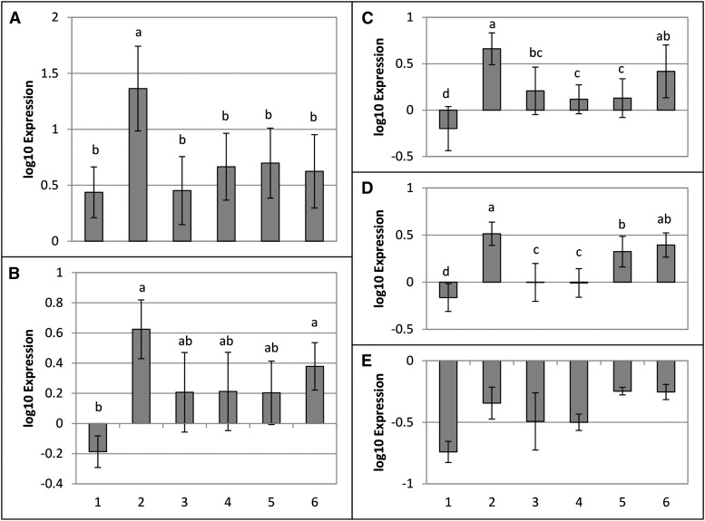 Figure 5.