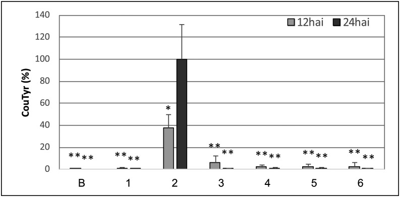 Figure 6.