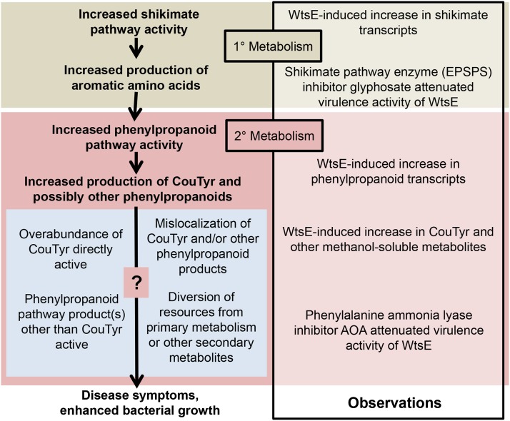 Figure 10.