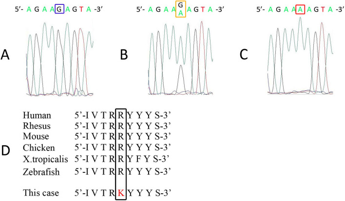 Figure 5.