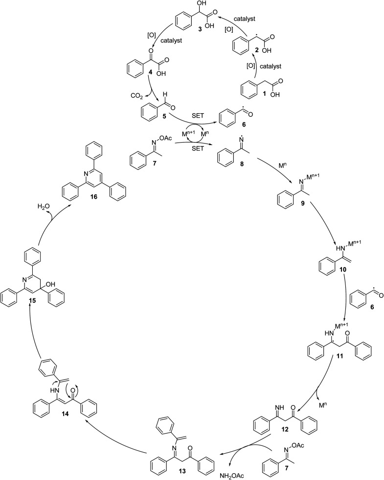 Scheme 3